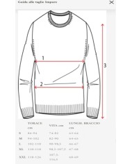 IMPURE SASHA HOODIE MIXED WOOL