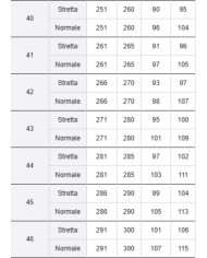 BIRKENSTOCK SANDALI UOMO ARIZONA IN PELLE OLIATA