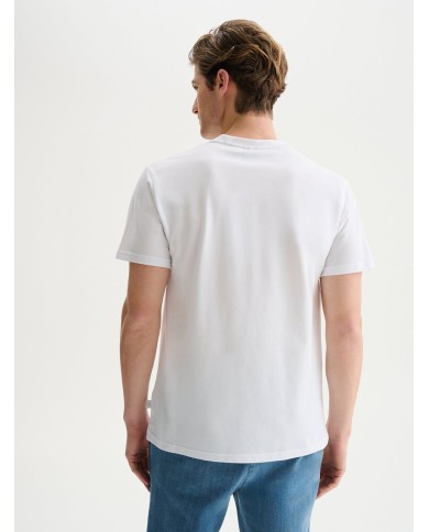 QB24 MAGLIETTA GIROCOLLO IN PIQUET DI COTONE