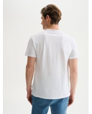 QB24 MAGLIETTA GIROCOLLO IN PIQUET DI COTONE