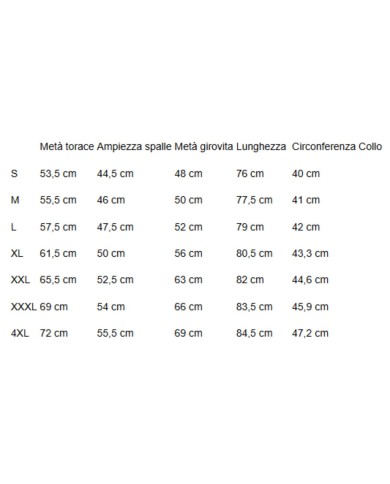 U.S. POLO CAMICIA SLIM FIT OXFORD PIN POINT