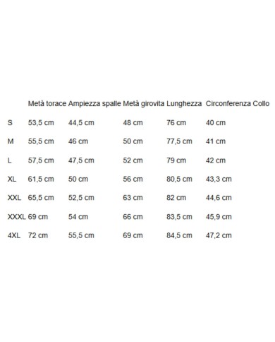 U.S. POLO CAMICIA SLIM FIT OXFORD PIN POINT