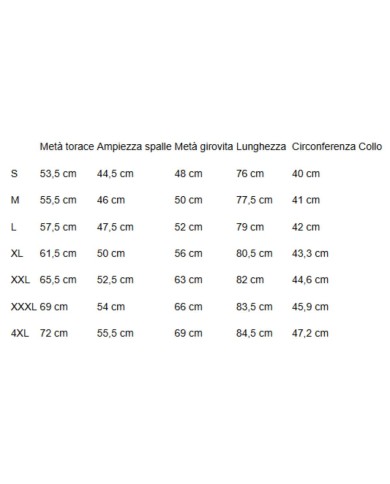 U.S. POLO CAMICIA SLIM FIT OXFORD PIN POINT