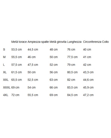 U.S. POLO CAMICIA FRENCH COLLAR