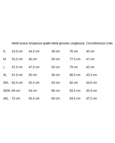 U.S. POLO CAMICIA FRENCH COLLAR