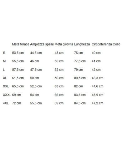 U.S. POLO CAMICIA DI LINO