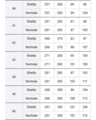 BIRKENSTOCK SANDALI UOMO ARIZONA IN PELLE SCAMOSCIATA
