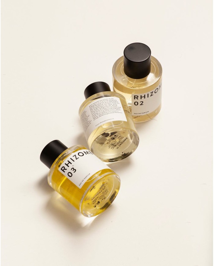 RHIZOME 02 EDP