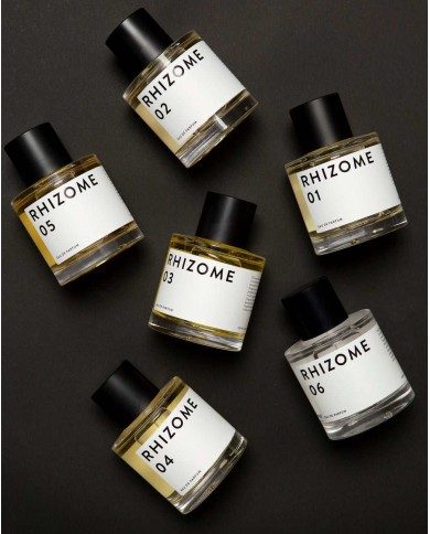 RHIZOME 03 EDP