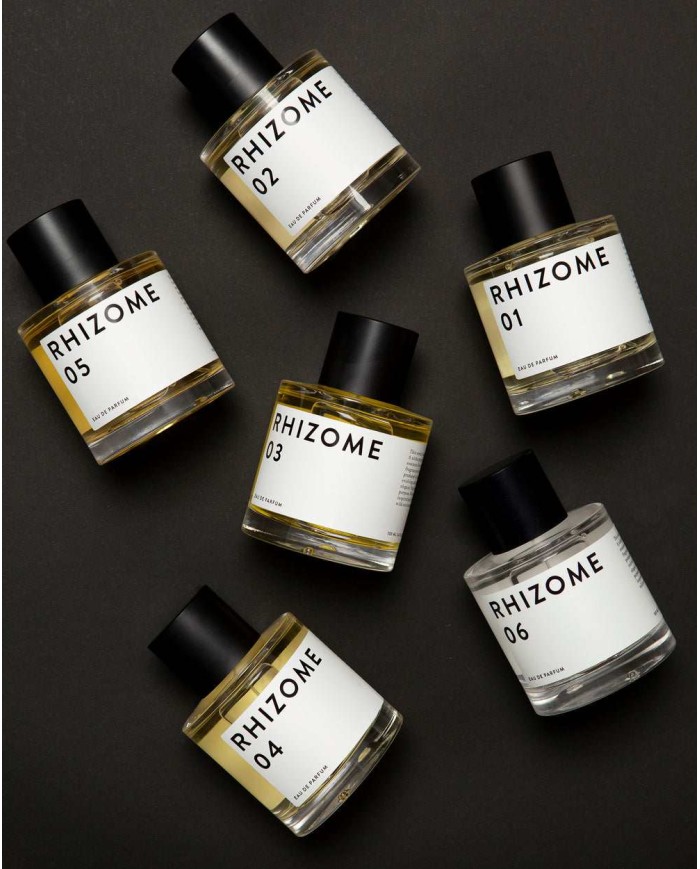 RHIZOME 03 EDP