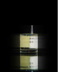 RHIZOME 04 EDP